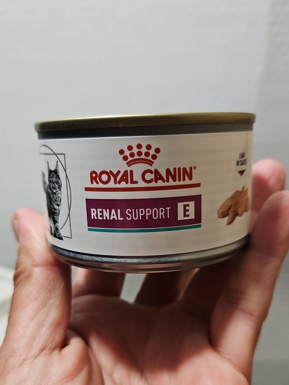 Royal Canin Renal Support E Wet Cat Food - 5.1 Oz